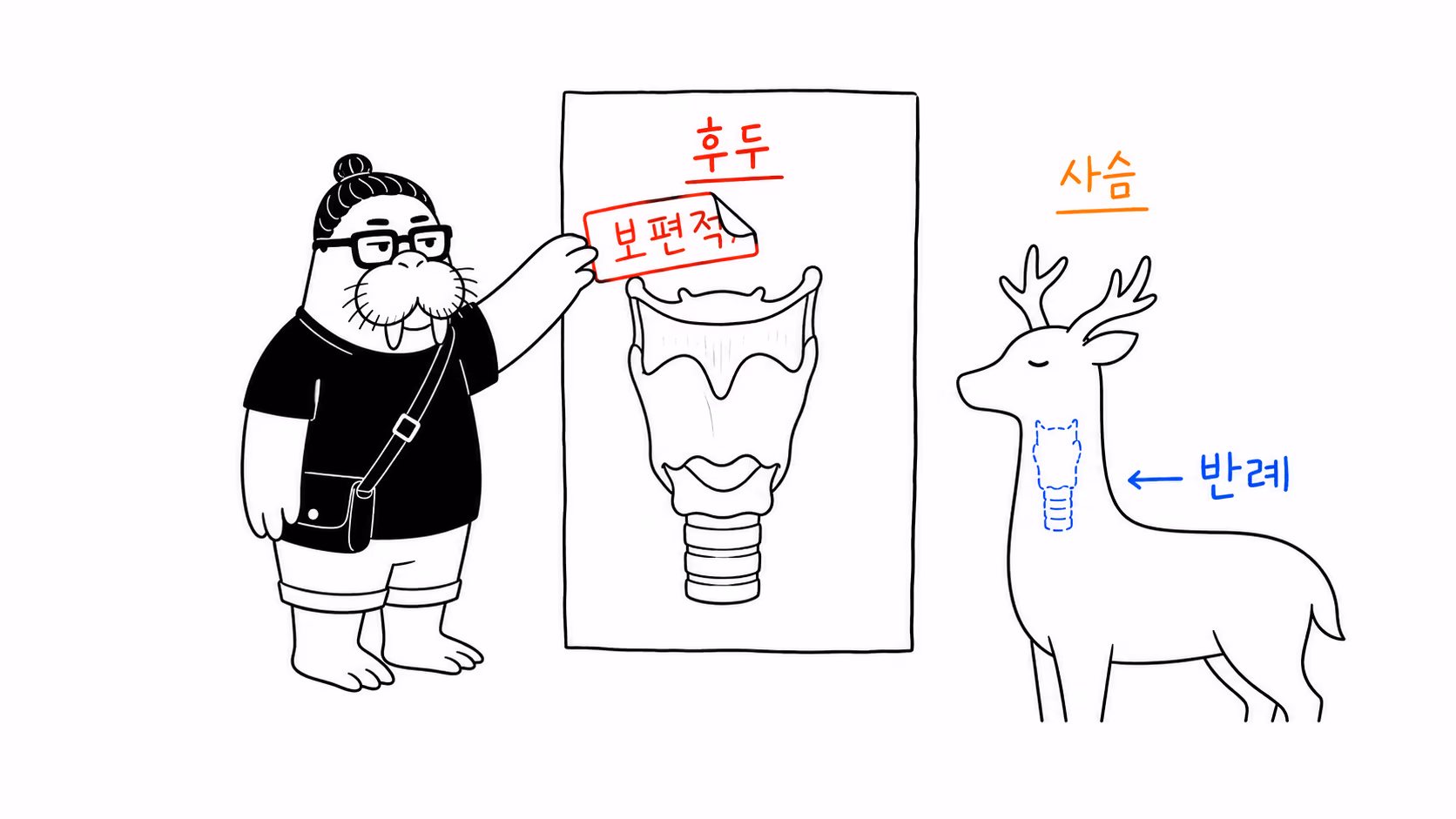 인간 후두의 보편 설명 옆에 사슴 반례를 놓는 장면