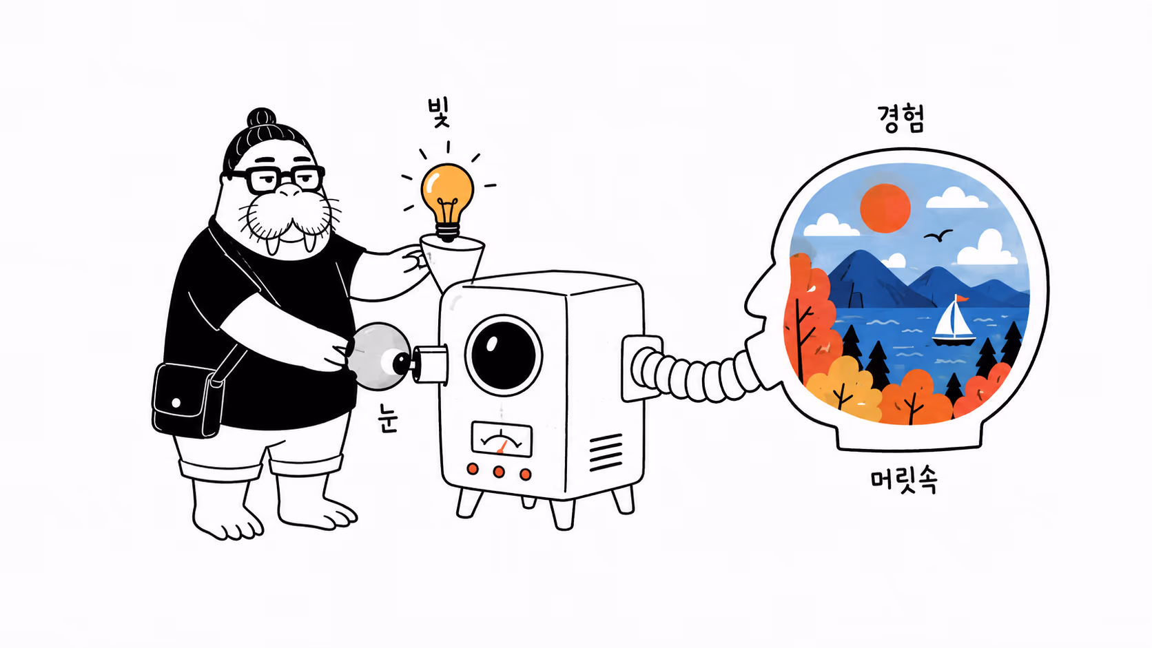 빛과 눈을 거쳐 머릿속에 색 경험이 만들어지는 장면