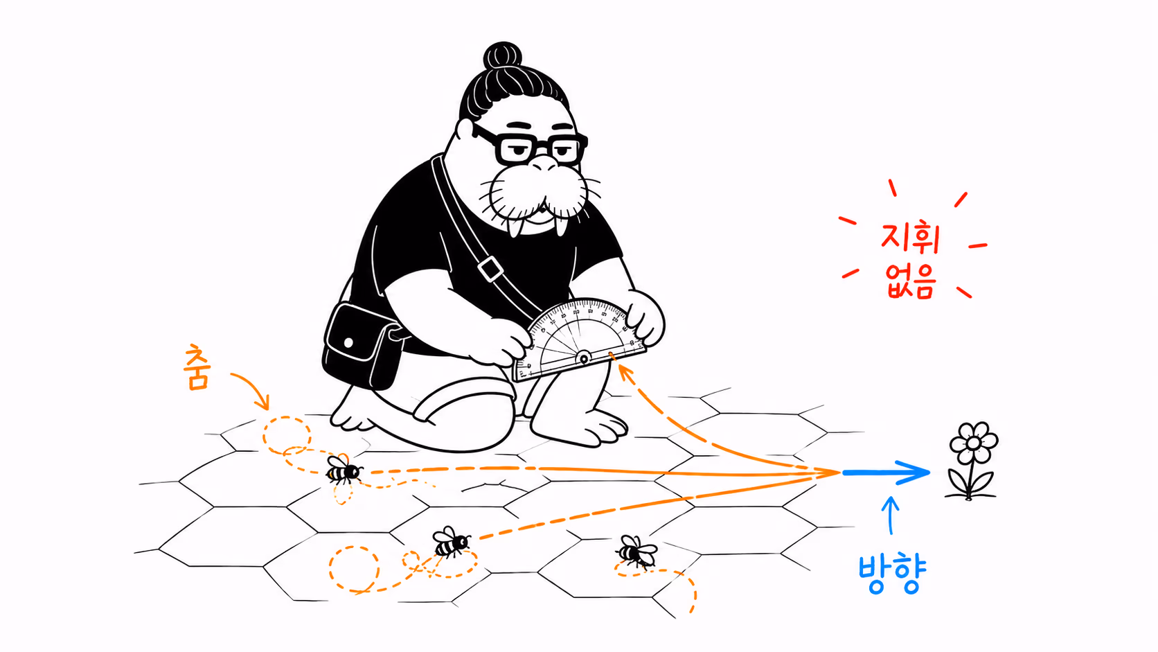 여러 벌의 춤 경로가 지도자 없이 한 방향으로 모이는 장면