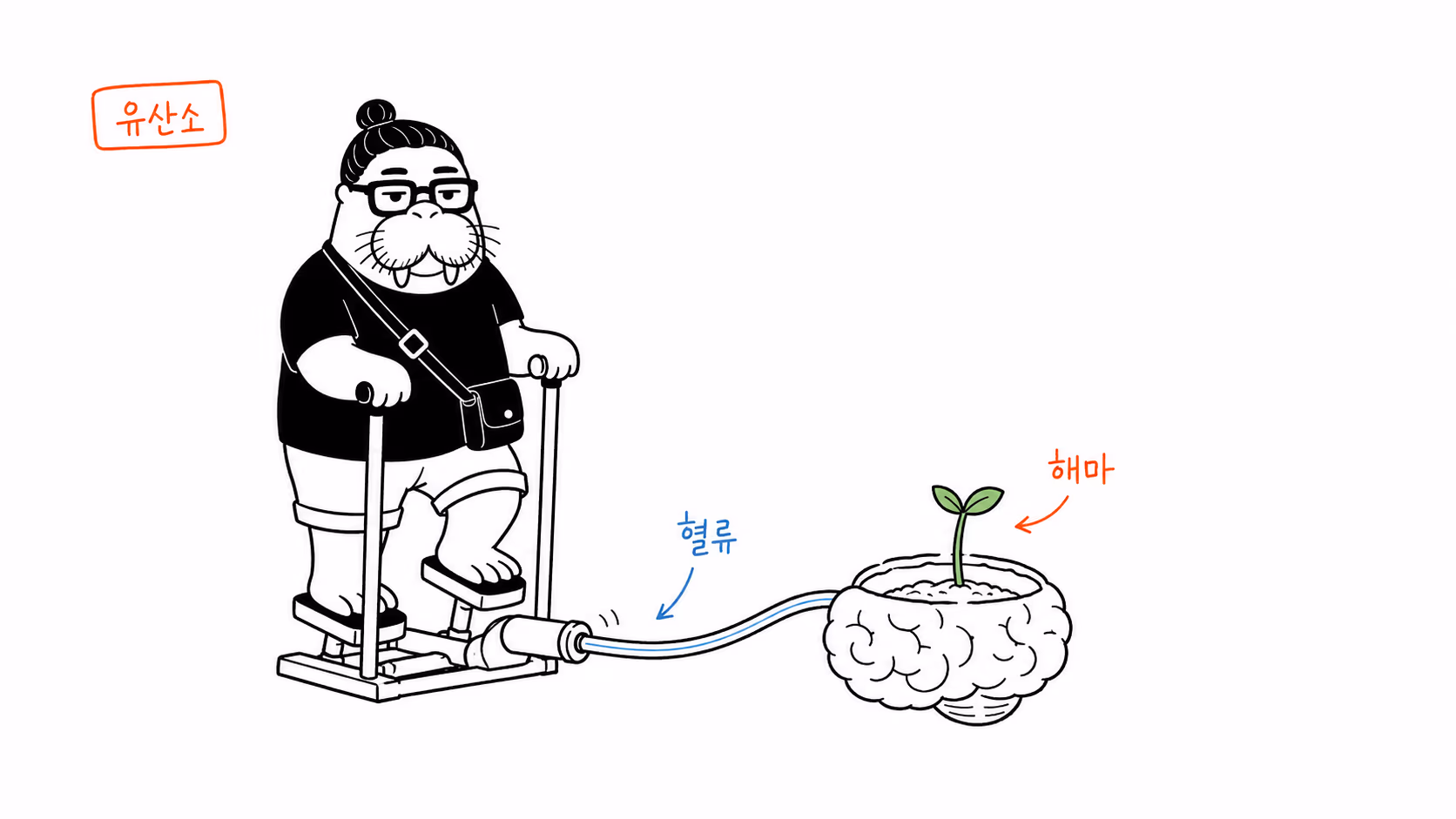 걷기가 뇌로 혈류와 자극을 보내는 장면